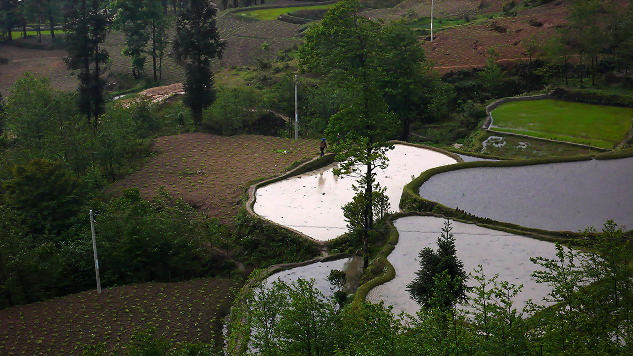 2007-04-12-01-57-14-BP